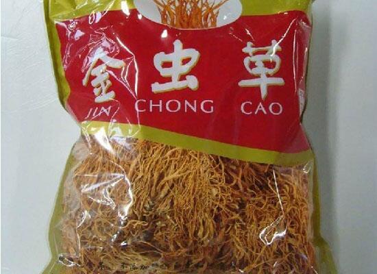 金蟲(chóng)草花